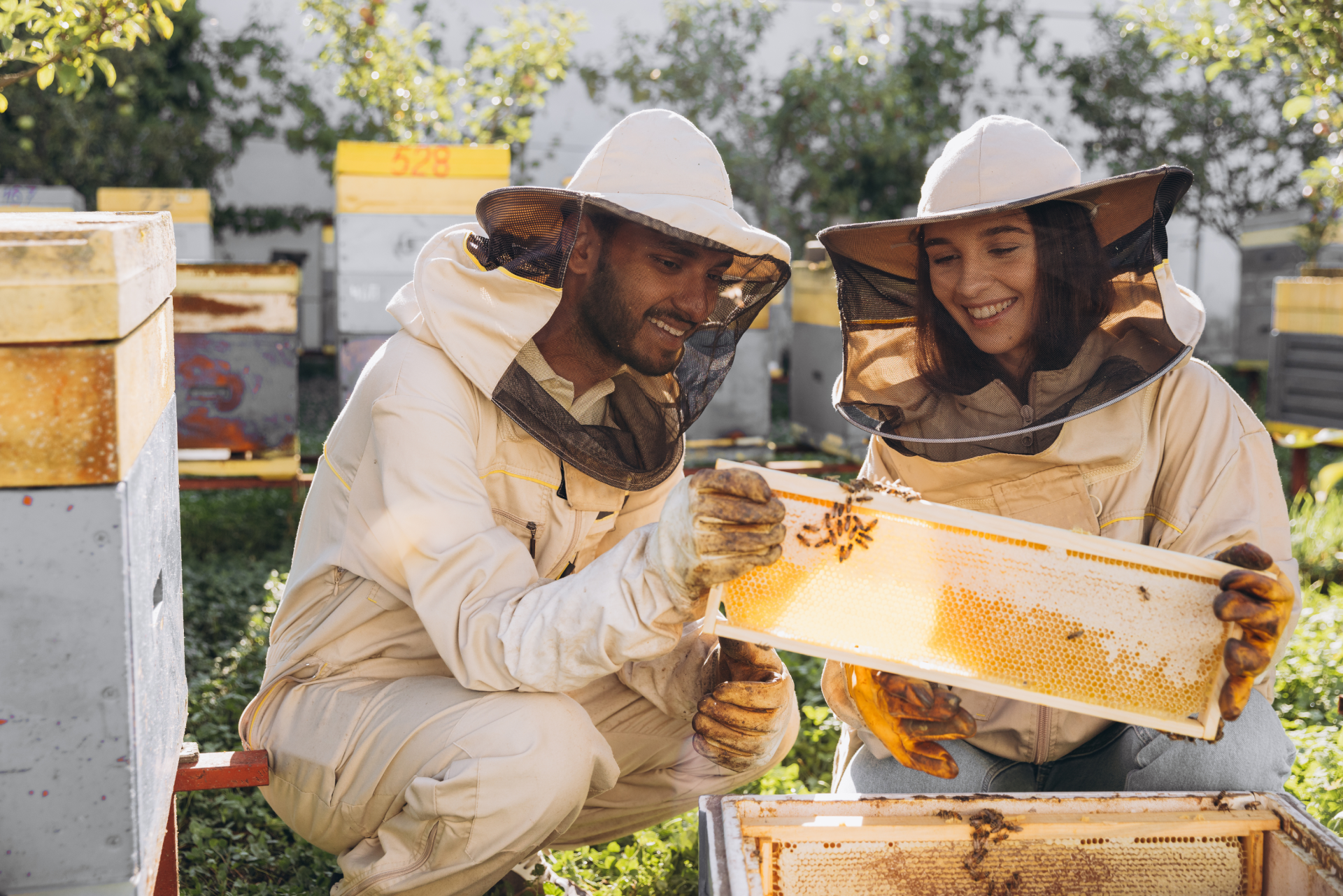 Construction de ruches, d'hôtels à insectes ou nichoirs
